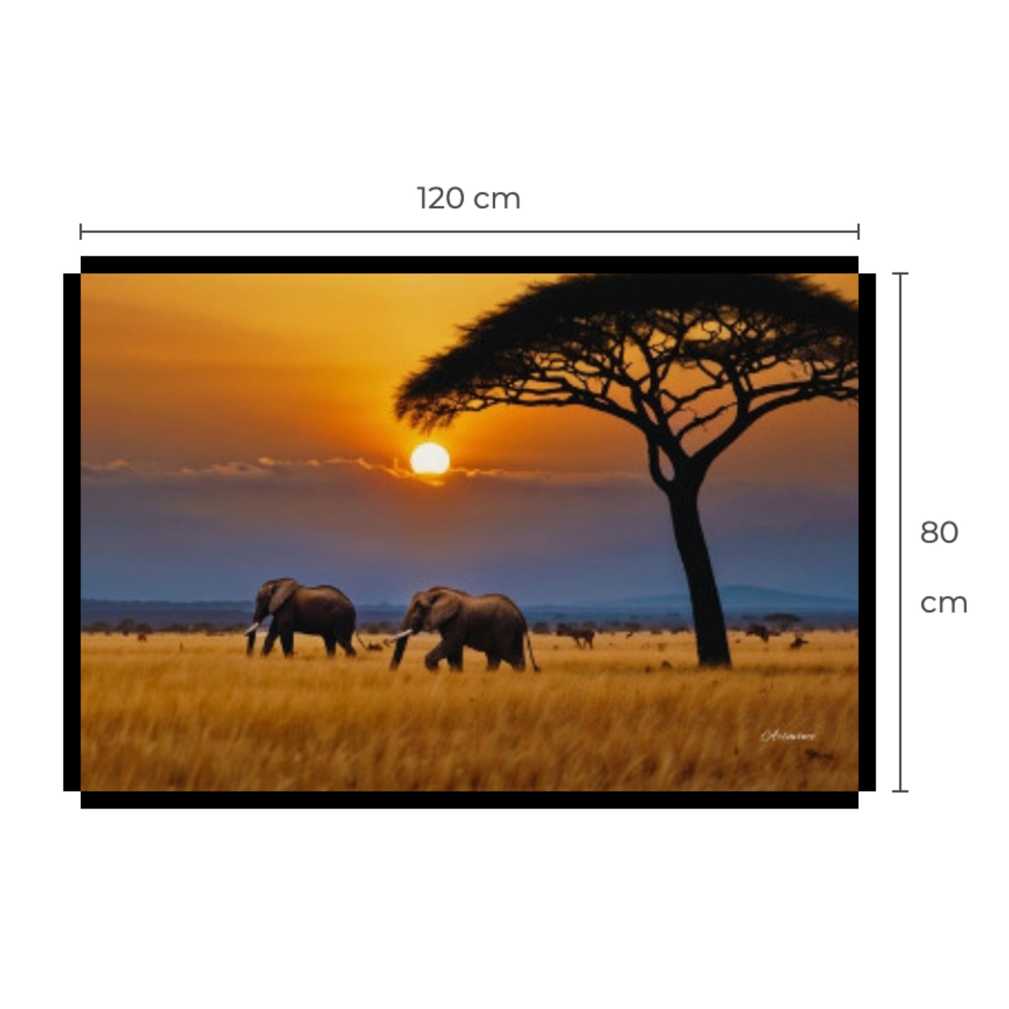 African Savanna Elephants