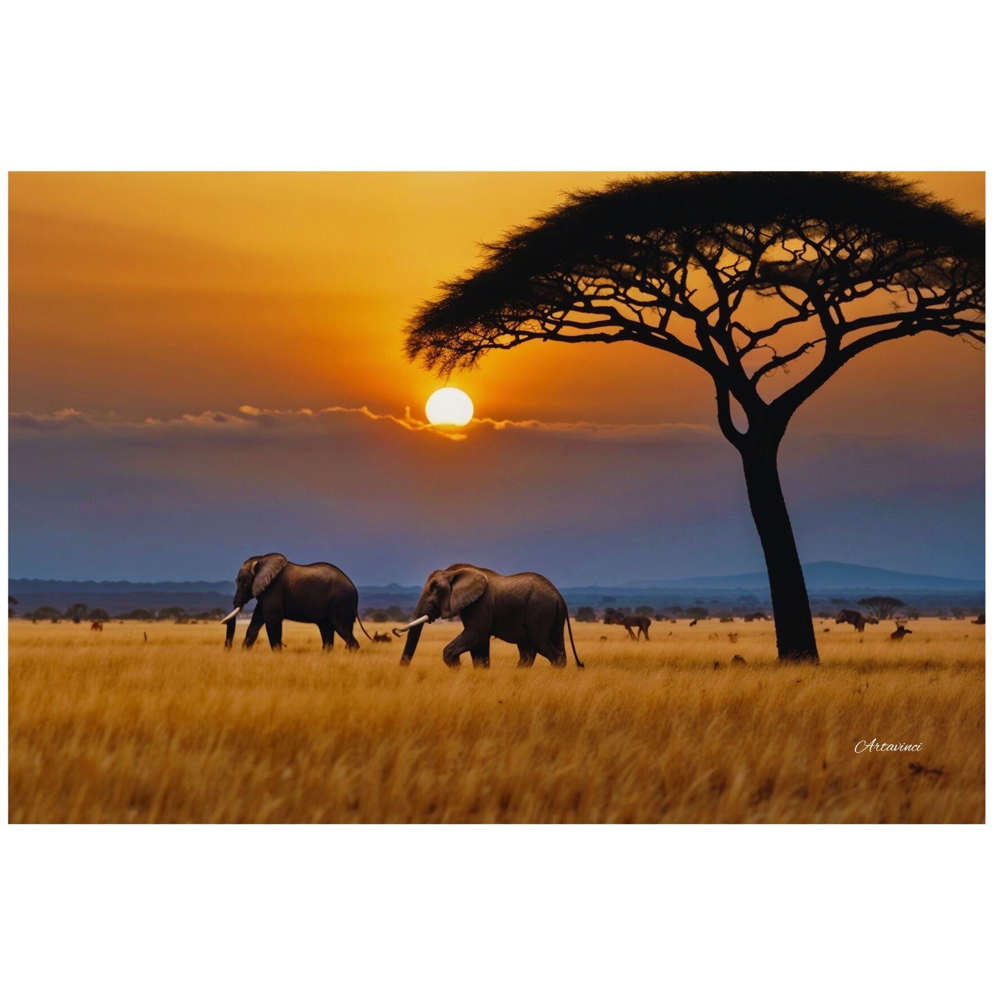African Savanna Elephants