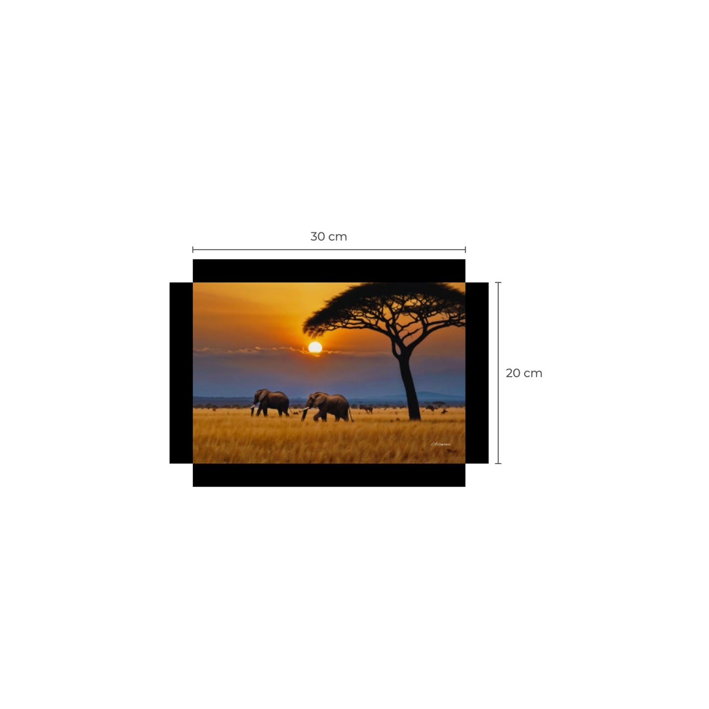 African Savanna Elephants