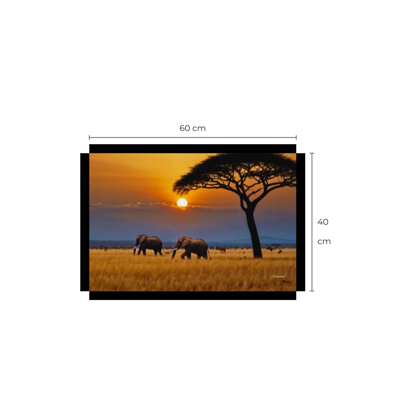 African Savanna Elephants