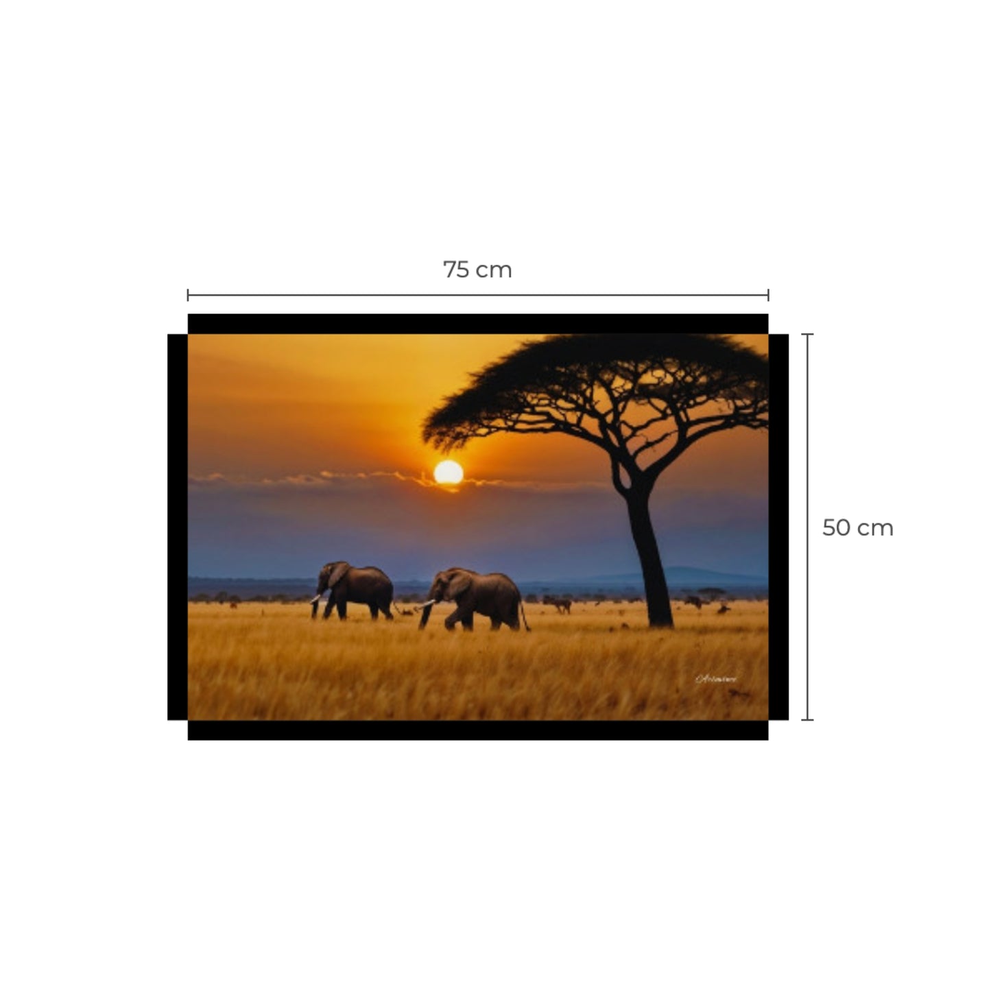 African Savanna Elephants
