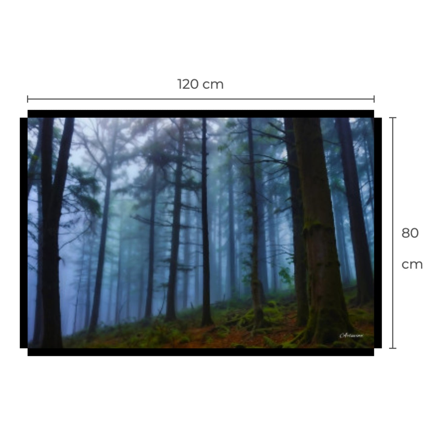 Dark Forest Canvas Art Print