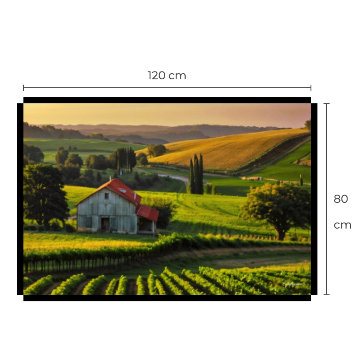 House in Countryside Vineyard Landscape Canvas Wall Art