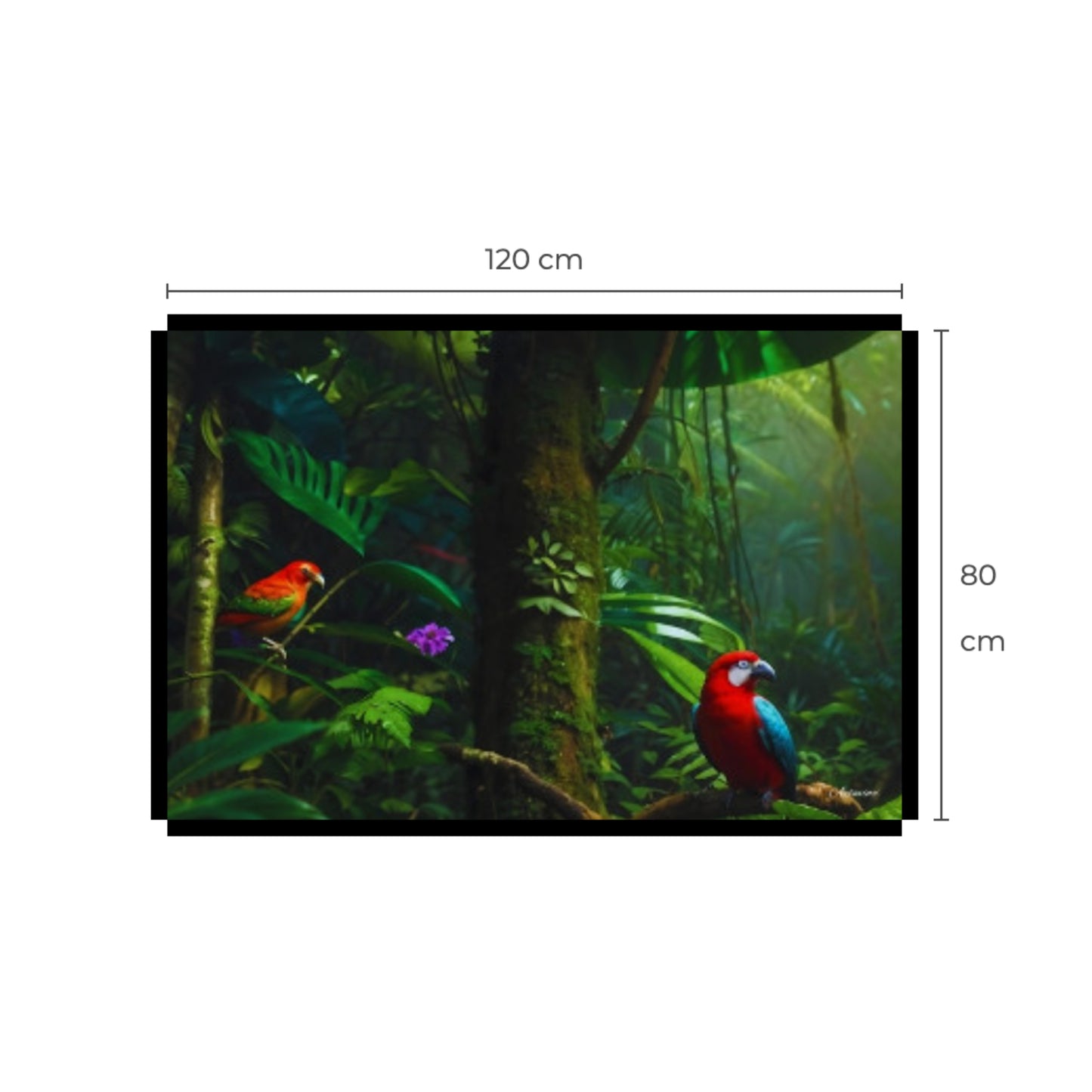 Rainforest Parrots Canvas Wall Art Print