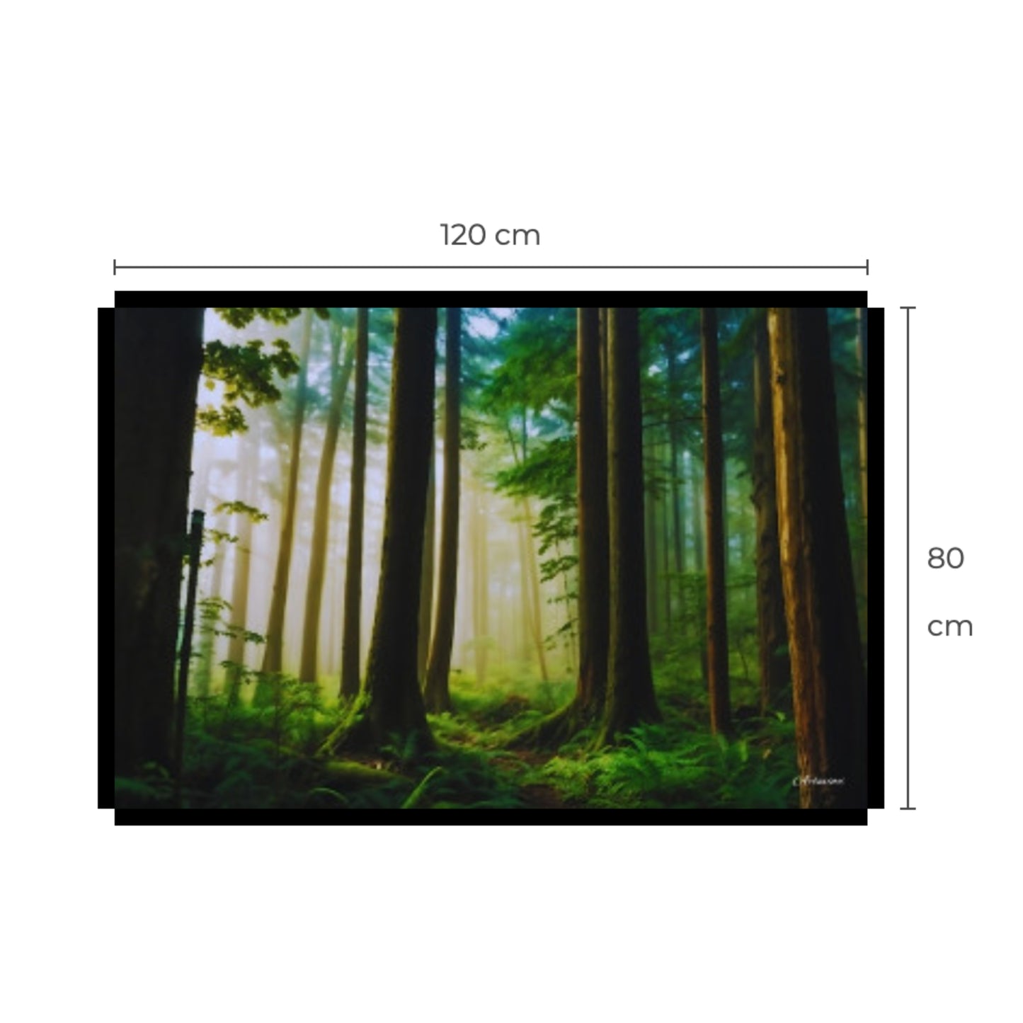 Canvas Wall Art: Fog in the Forest