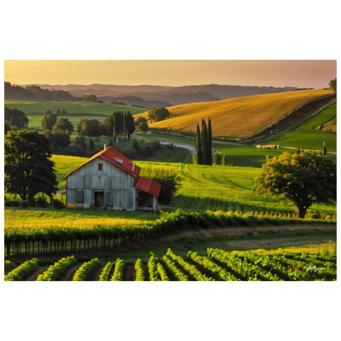 House in Countryside Vineyard Landscape Canvas Wall Art