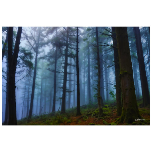 Dark Forest Canvas Art Print