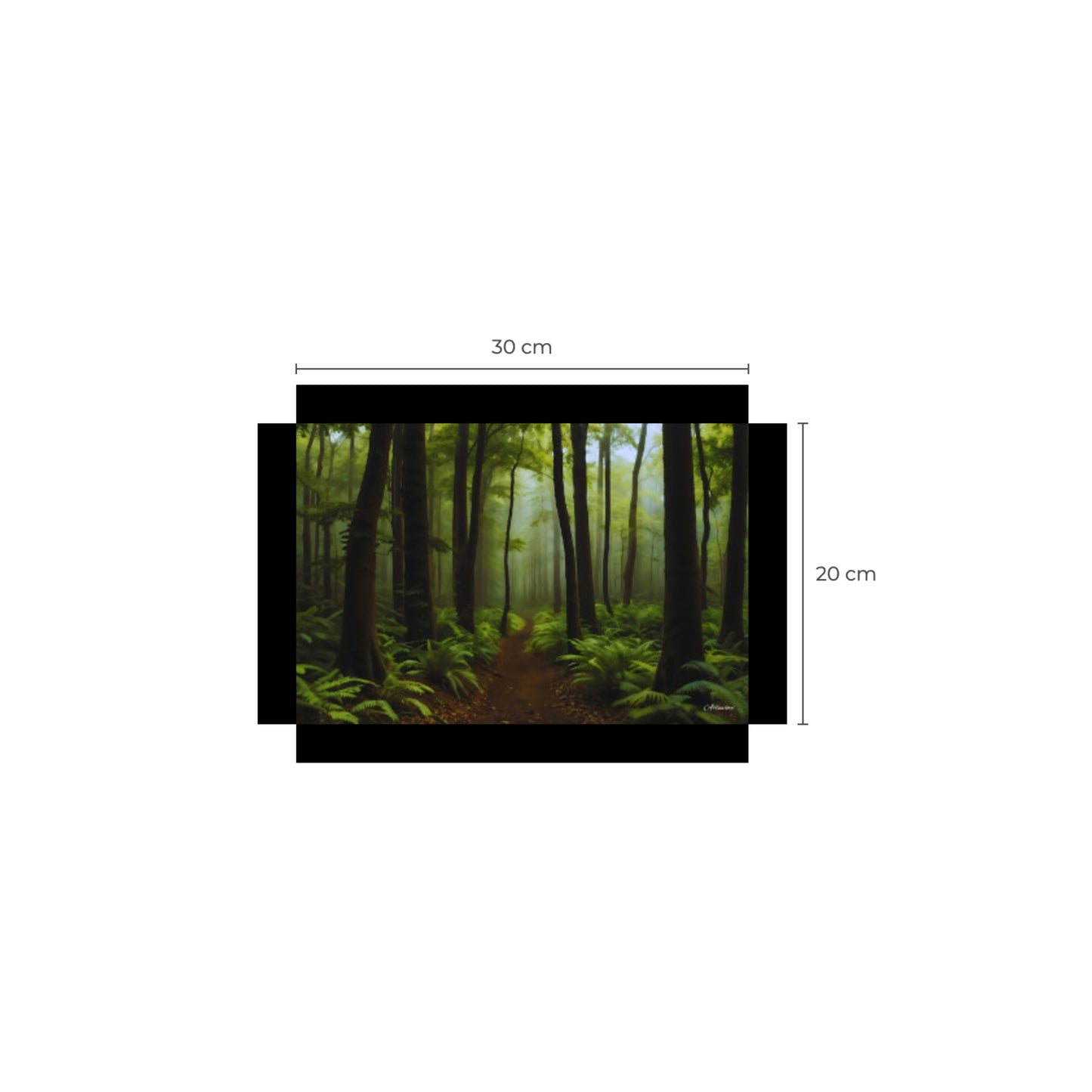 Mysterious Path in the Forest Canvas Art Print