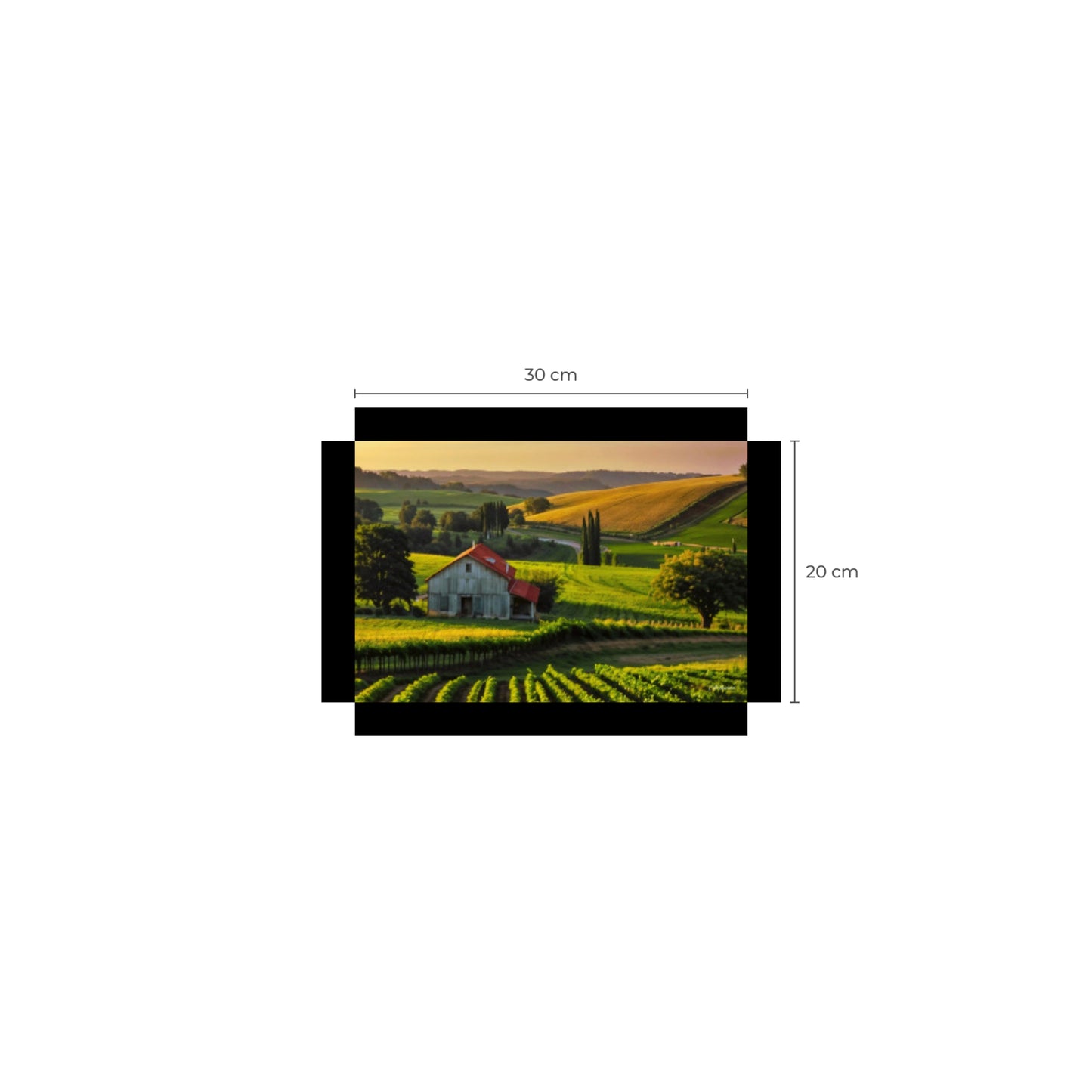 House in Countryside Vineyard Landscape Canvas Wall Art