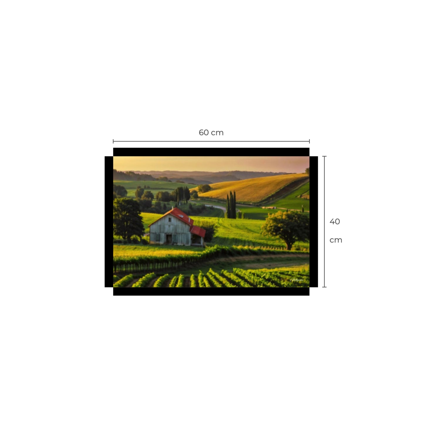 House in Countryside Vineyard Landscape Canvas Wall Art