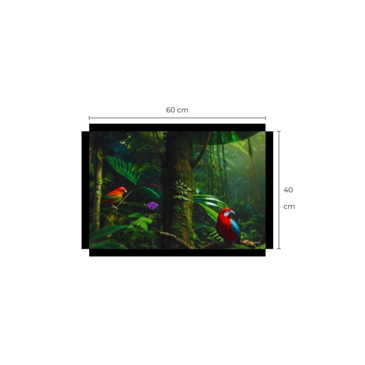 Rainforest Parrots Canvas Wall Art Print