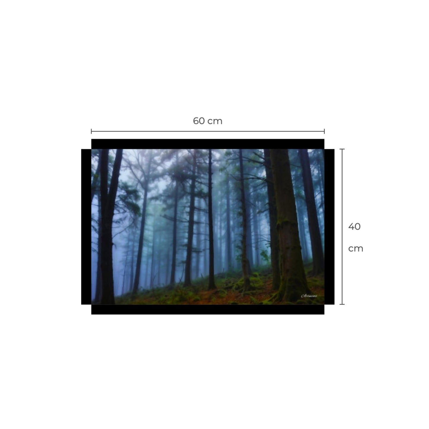 Dark Forest Canvas Art Print