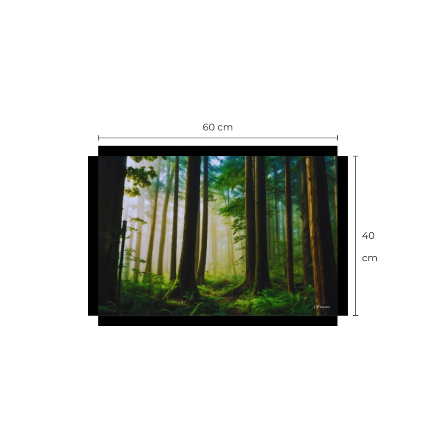 Canvas Wall Art: Fog in the Forest