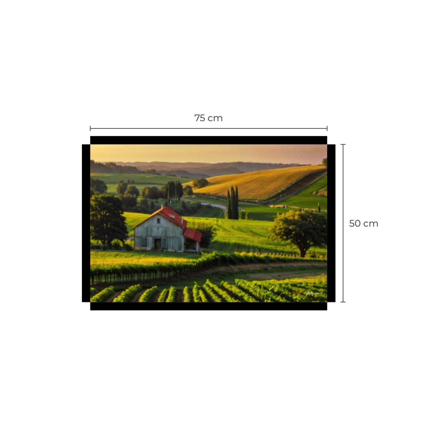 House in Countryside Vineyard Landscape Canvas Wall Art