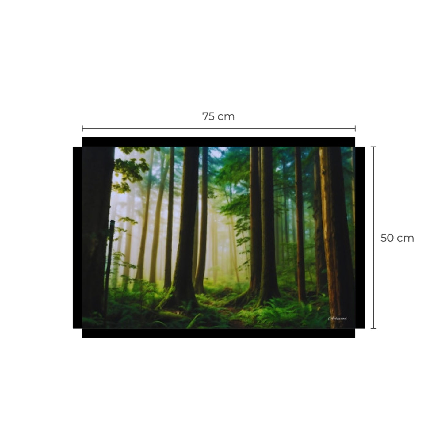 Canvas Wall Art: Fog in the Forest