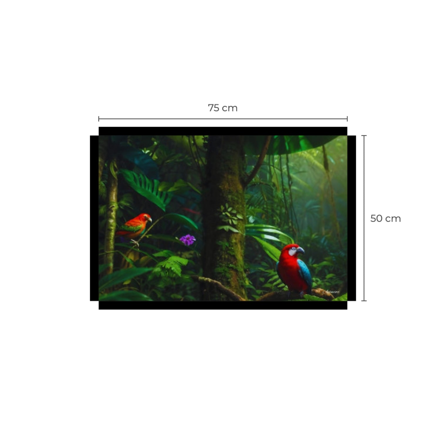 Rainforest Parrots Canvas Wall Art Print