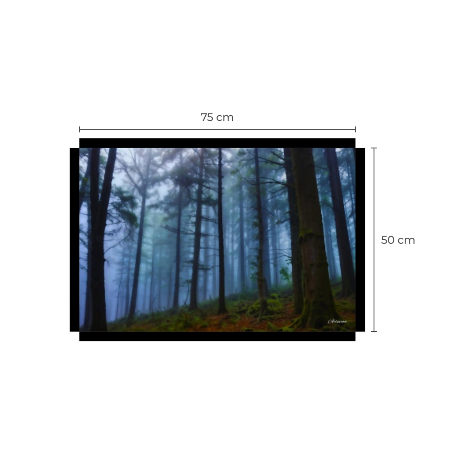 Dark Forest Canvas Art Print