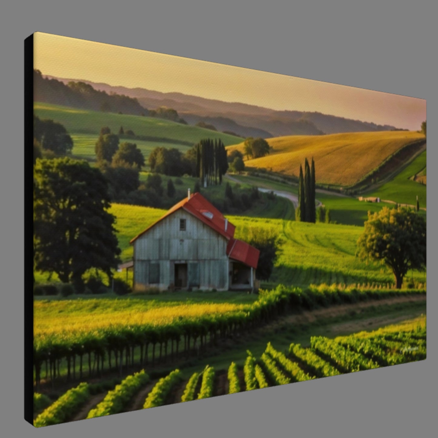 House in Countryside Vineyard Landscape Canvas Wall Art