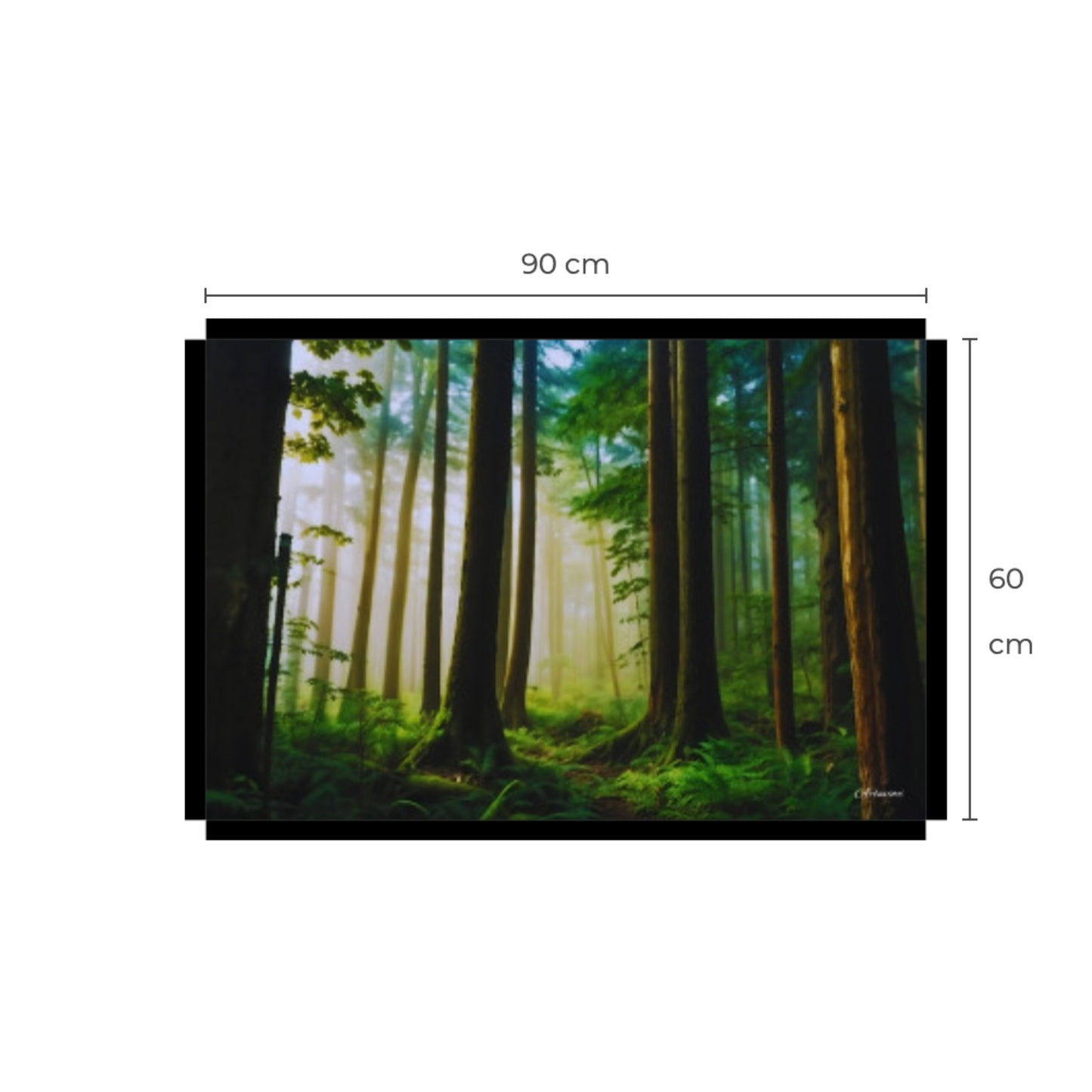 Canvas Wall Art: Fog in the Forest