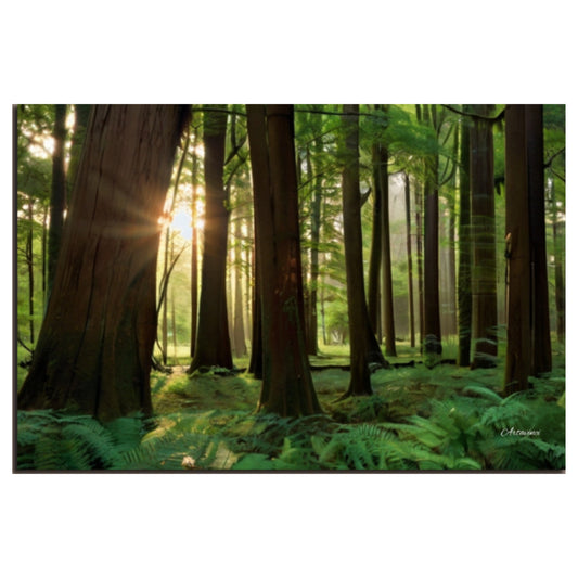 Majestic Forest Canvas Art