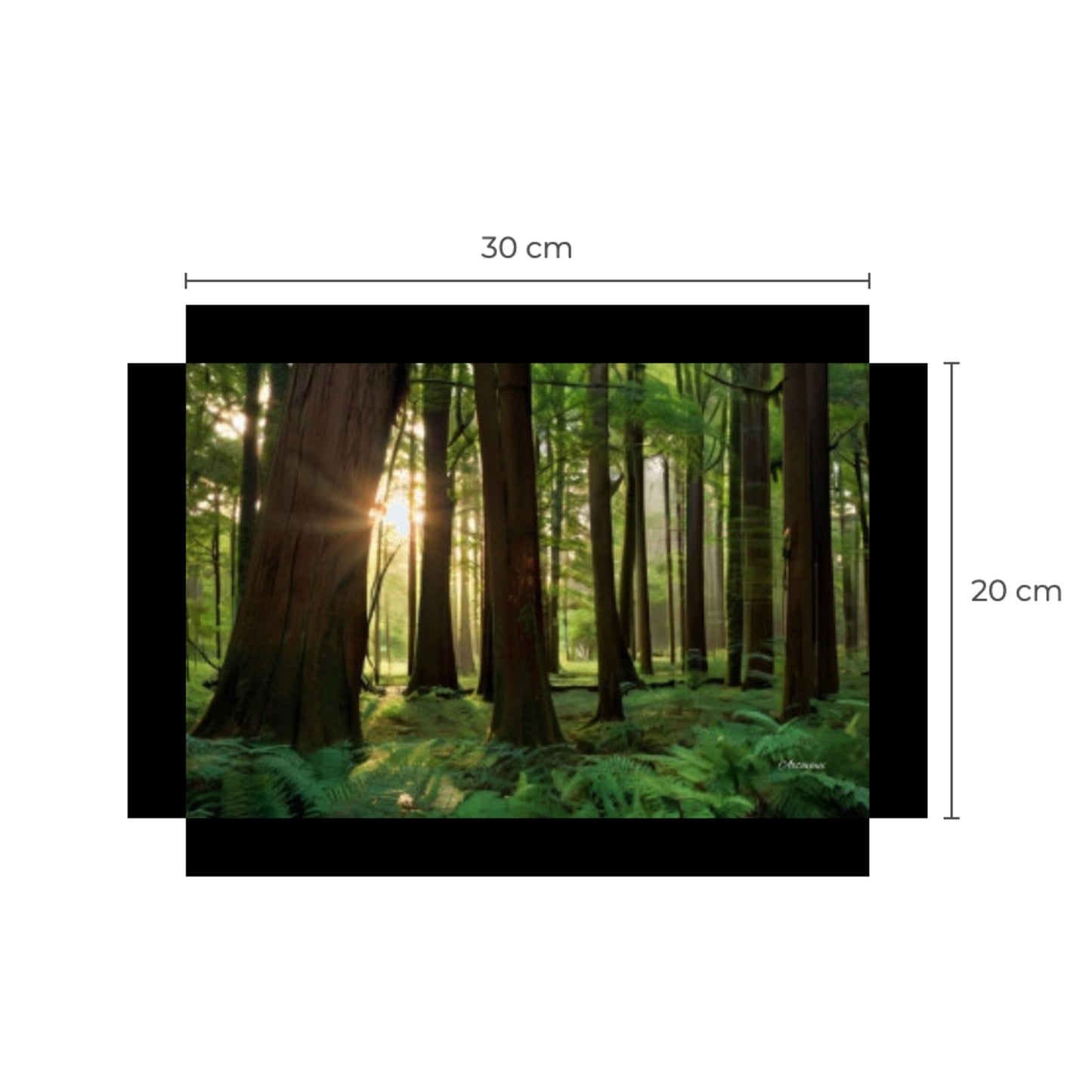 Majestic Forest Canvas Art