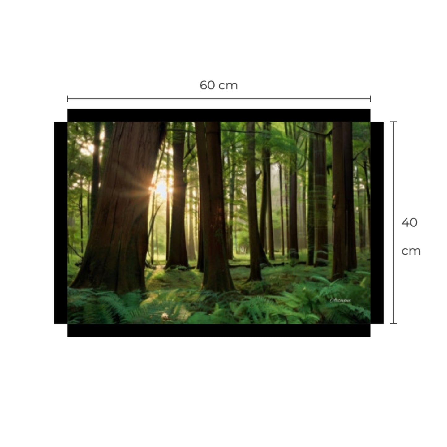 Majestic Forest Canvas Art