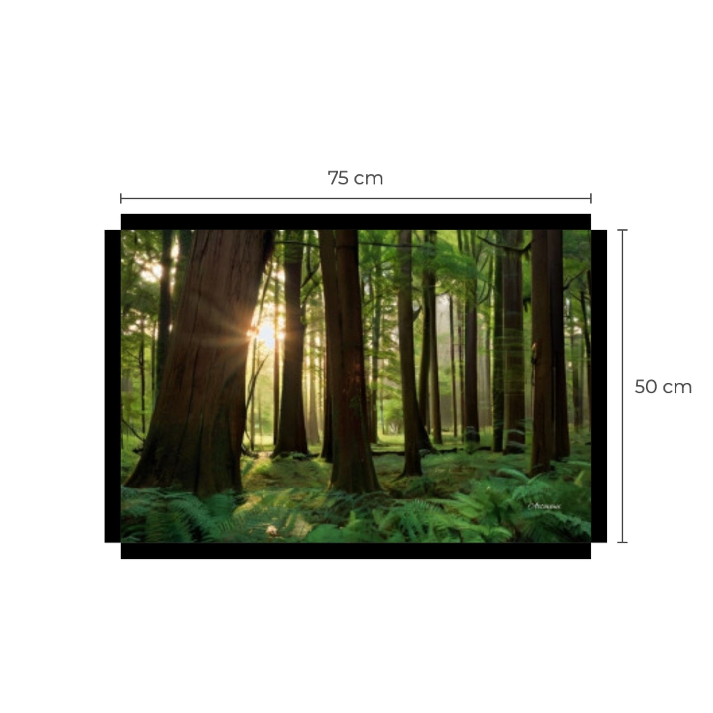 Majestic Forest Canvas Art